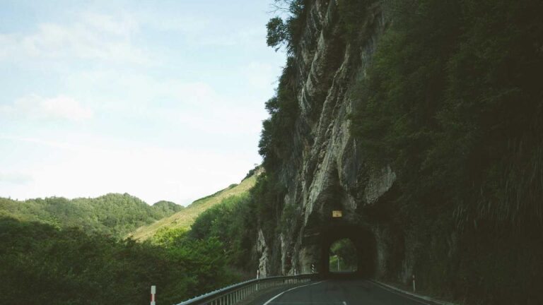 Does Cricbet99 Have A Wikipedia Page?