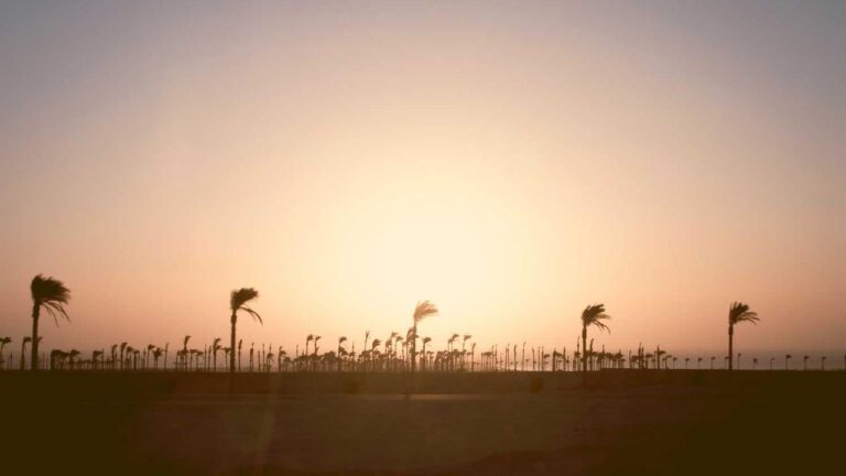 How To Check Transaction Status Using 11Xplay Deposit Number?